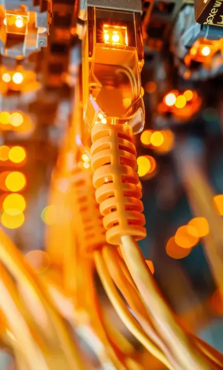 cables de servidor
